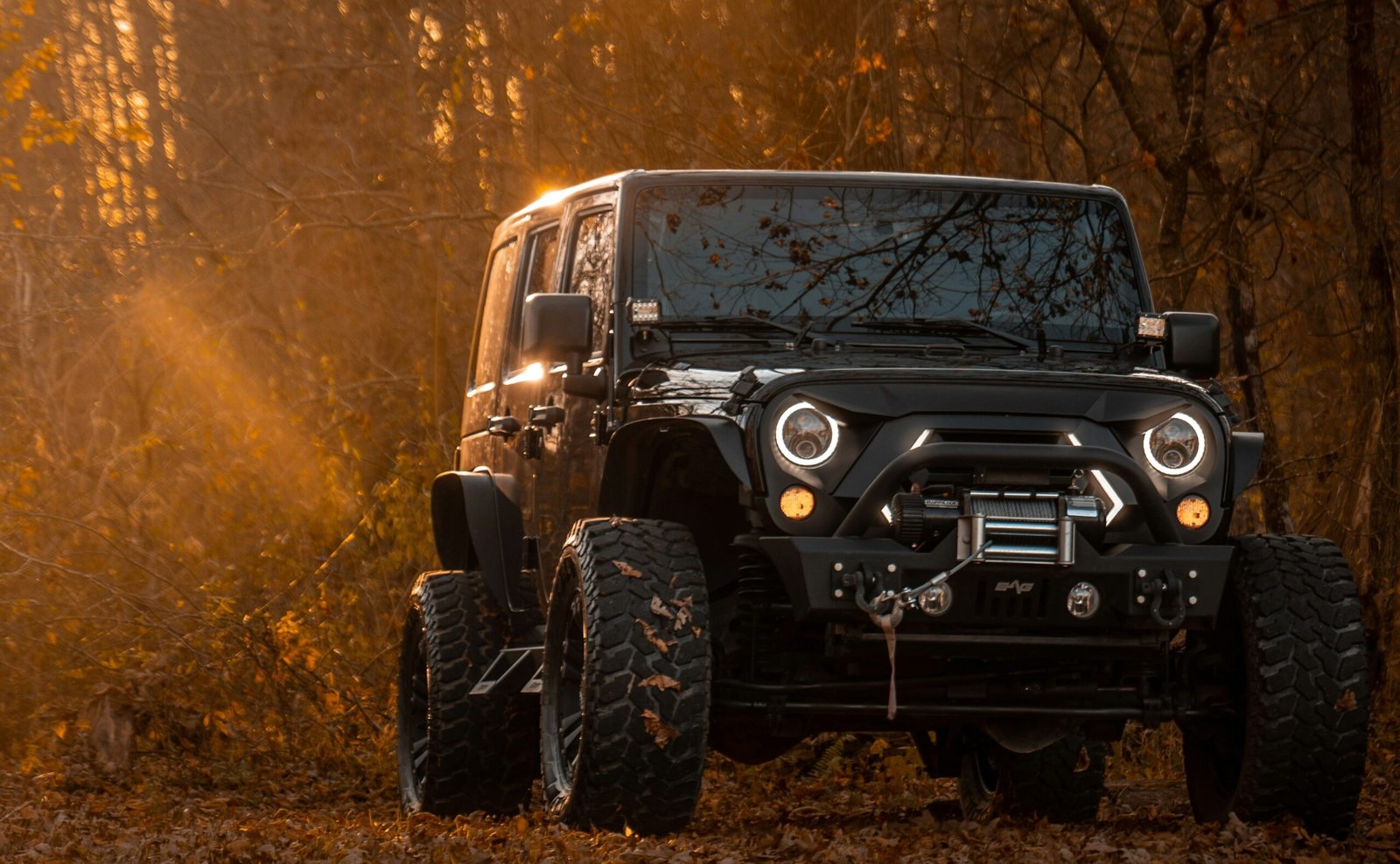 Body_&_Exterior2
